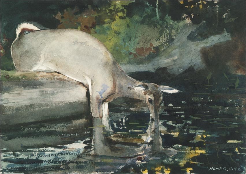 Galeria Plakatu, Plakat, Deer Drinking, Winslow Homer, 42x29,7 cm