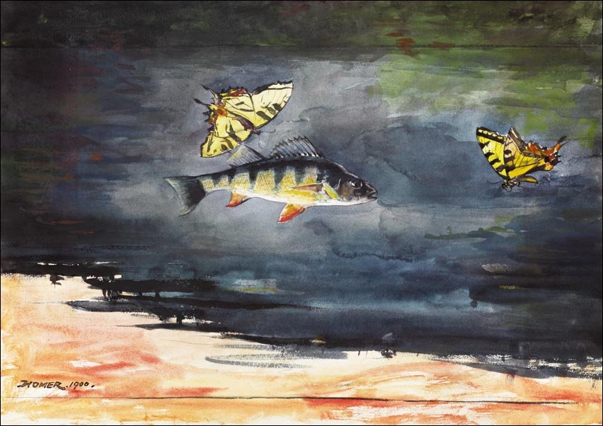 Galeria Plakatu, Plakat, Fish and Butterflies, Winslow Homer, 80x60 cm