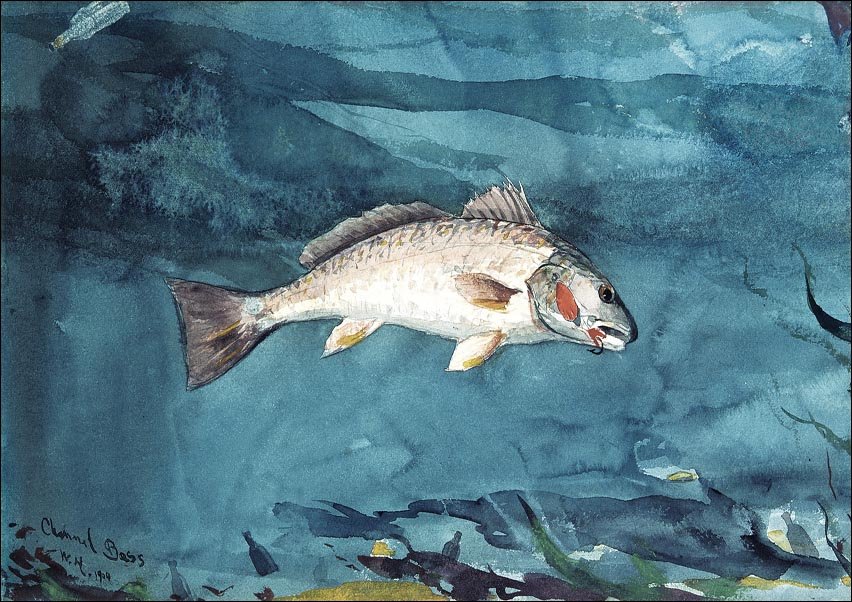 Galeria Plakatu, Plakat, Channel Bass, Winslow Homer, 30x20 cm