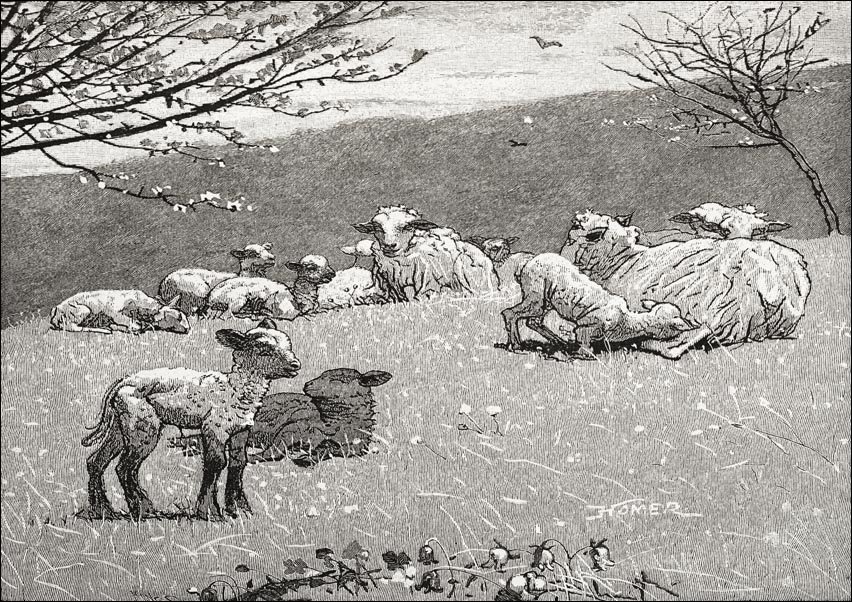 Galeria Plakatu, Plakat, Spring Lamb, Winslow Homer, 59,4x42 cm