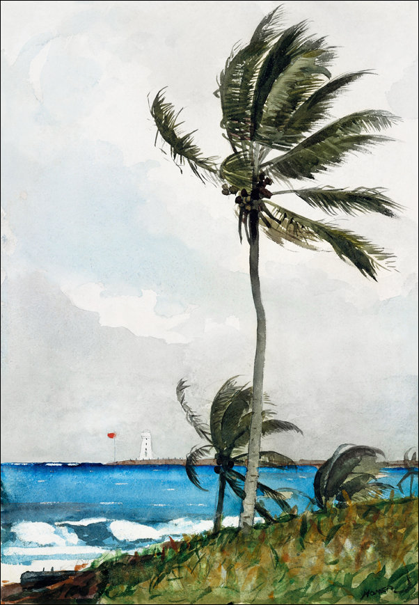 Galeria Plakatu, Plakat, Palm Tree, Nassau, Winslow Homer, 40x60 cm