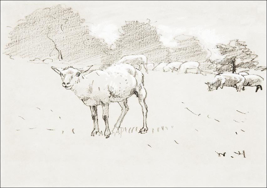 Galeria Plakatu, Plakat, Sheep Grazing in a Field, Winslow Homer, 70x50 cm