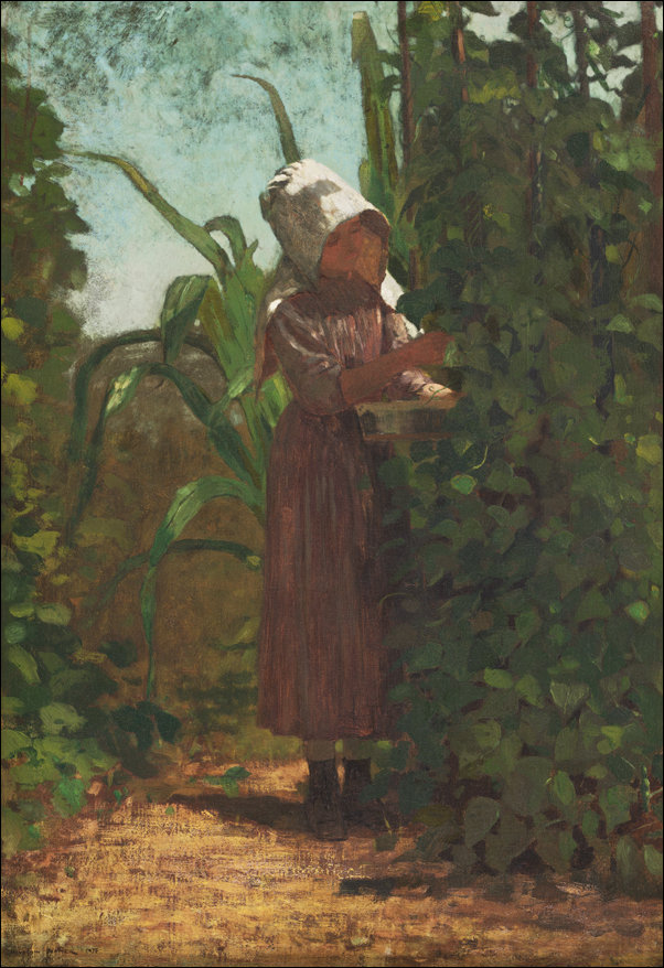 Galeria Plakatu, Plakat, The Bean Picker, Winslow Homer, 30x40 cm