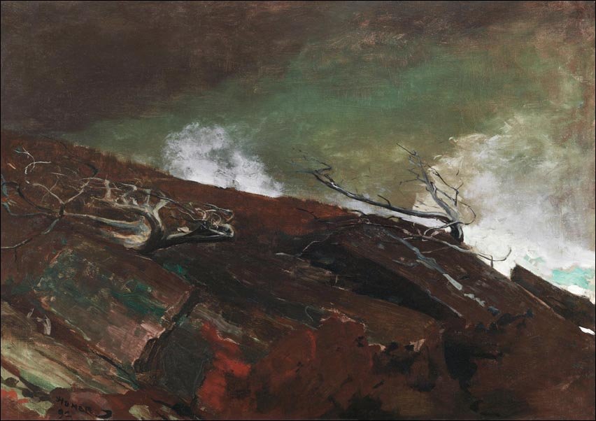 Galeria Plakatu, Plakat, Coast of Maine, Winslow Homer, 40x30 cm