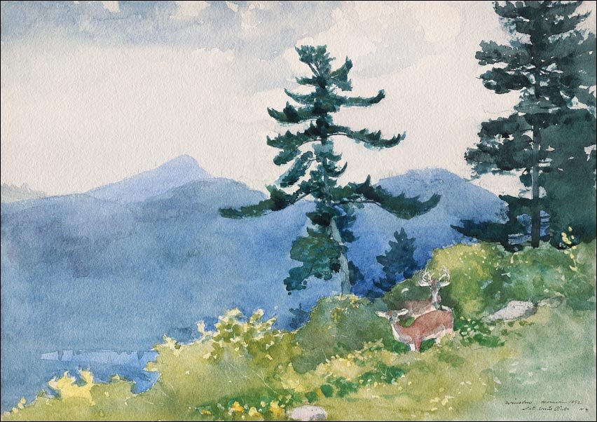 Galeria Plakatu, Plakat, North Woods Club, Adirondacks, Winslow Homer, 42x29,7 cm