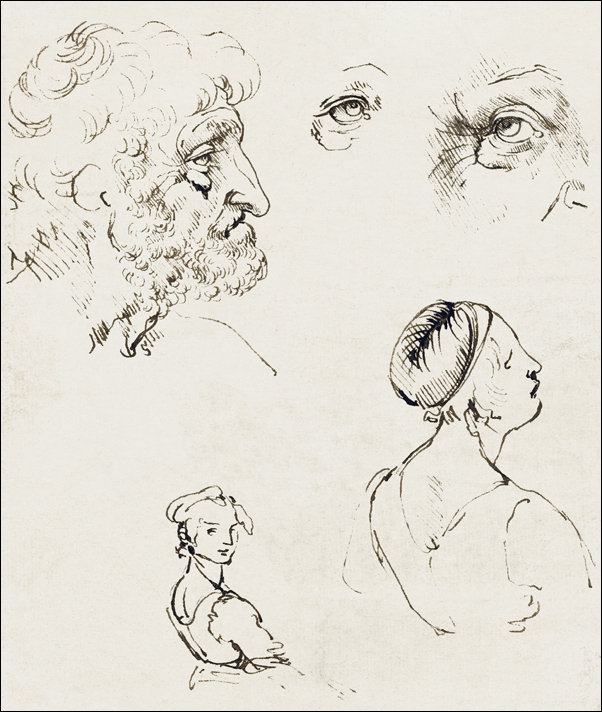 Galeria Plakatu, Plakat, Sheet of Studies, Leonardo Da Vinci, 21x29,7 cm