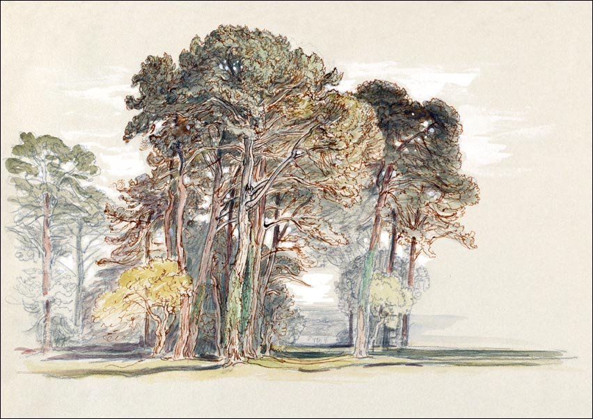 Galeria Plakatu, Plakat, The Pine Trees of El Monte, California, Samuel Colman, 70x50 cm