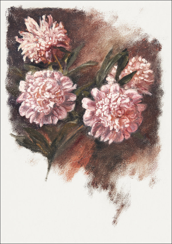 Galeria Plakatu, Plakat, Red Peonies during, Samuel Colman, 50x70 cm