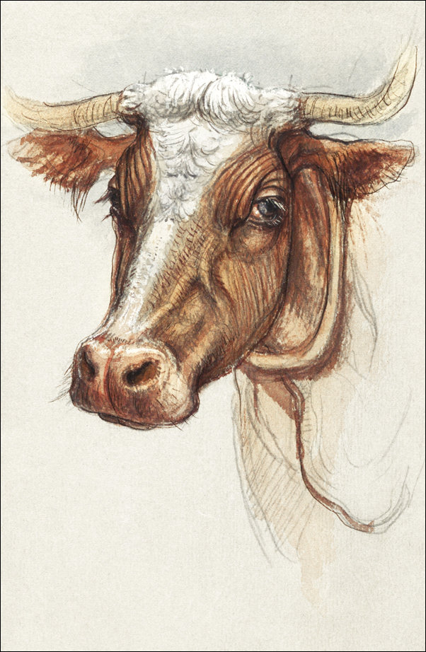 Galeria Plakatu, Plakat, Sketches from Narragansett, Rhode Island, Samuel Colman, 70x100 cm
