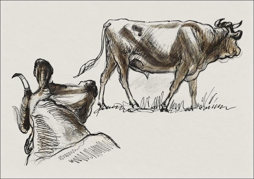 Galeria Plakatu, Plakat, Sketches of Cattle, Irvingto, Samuel Colman, 29,7x21 cm