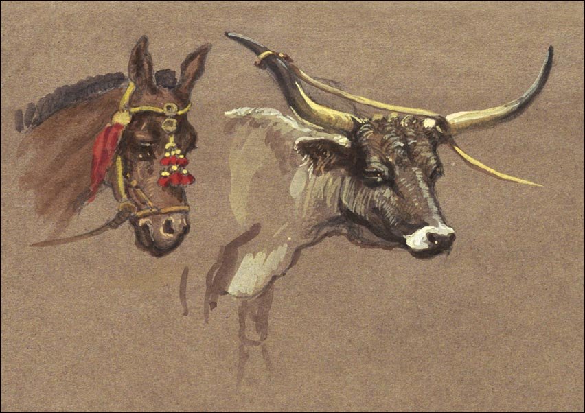 Galeria Plakatu, Plakat, Head of a Mule with a Bridle, Head of a Buffalo or Ox, Samuel Colman, 70x50 cm
