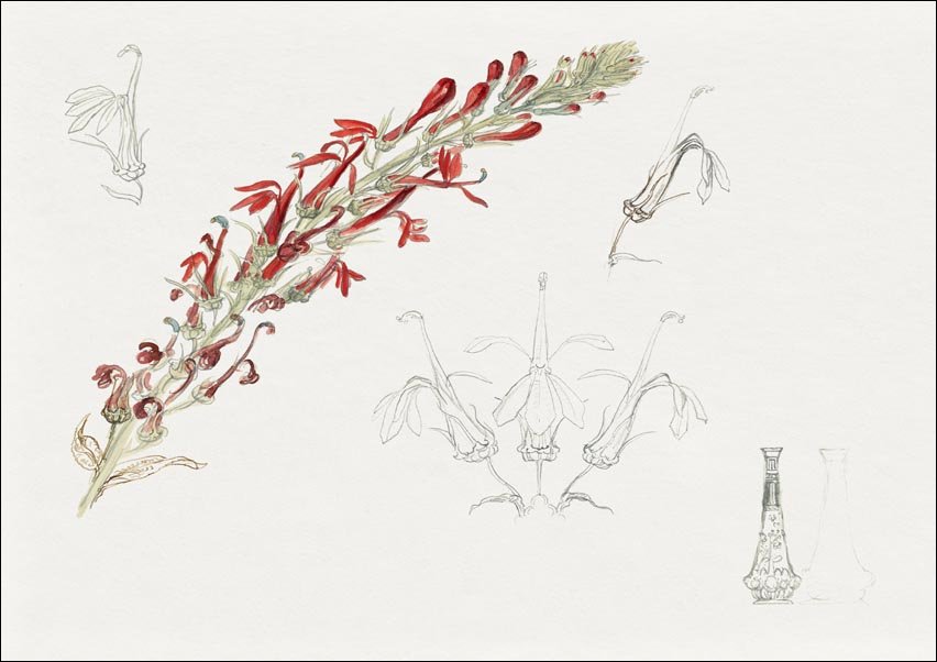 Galeria Plakatu, Plakat, Cardinal Flower, Samuel Colman, 84,1x59,4 cm