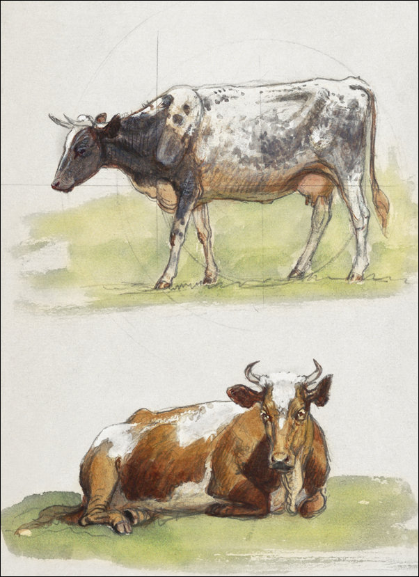 Galeria Plakatu, Plakat, Cattle, a Cow Walking and a Cow Crouching, Samuel Colman, 30x40 cm