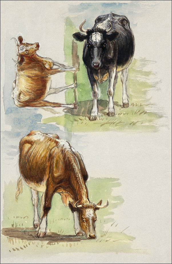 Galeria Plakatu, Plakat, Cattle, Steers, Samuel Colman, 40x50 cm