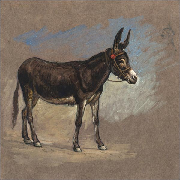 Galeria Plakatu, Plakat, Study of a Mule, Samuel Colman, 40x40 cm