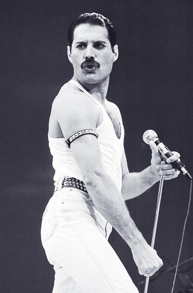Close, Queen Freddie Mercury, 59,5x84 cm