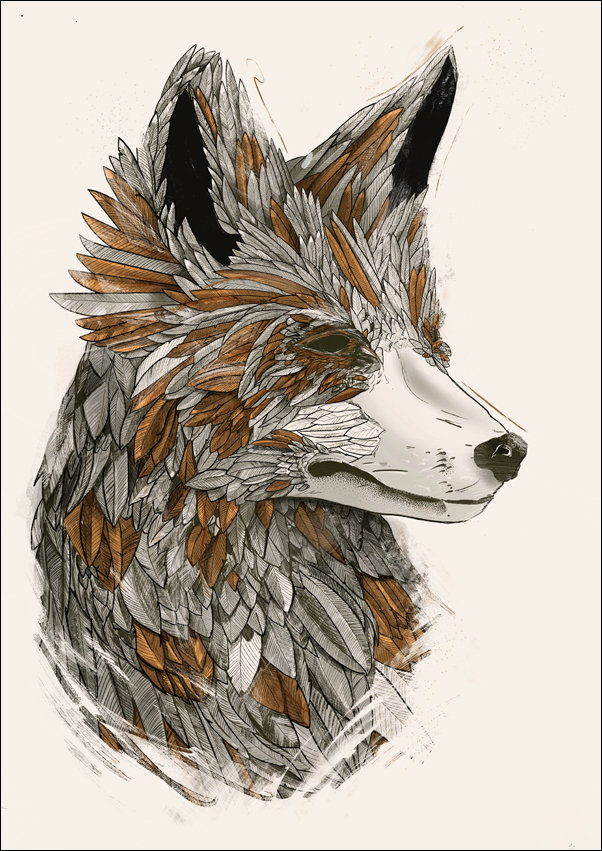 Galeria Plakatu, Feathered Fox 2, 50x70 cm