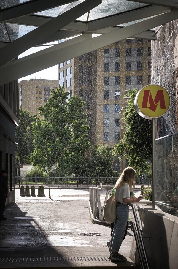 Galeria Plakatu, Gaj, 50x70 cm