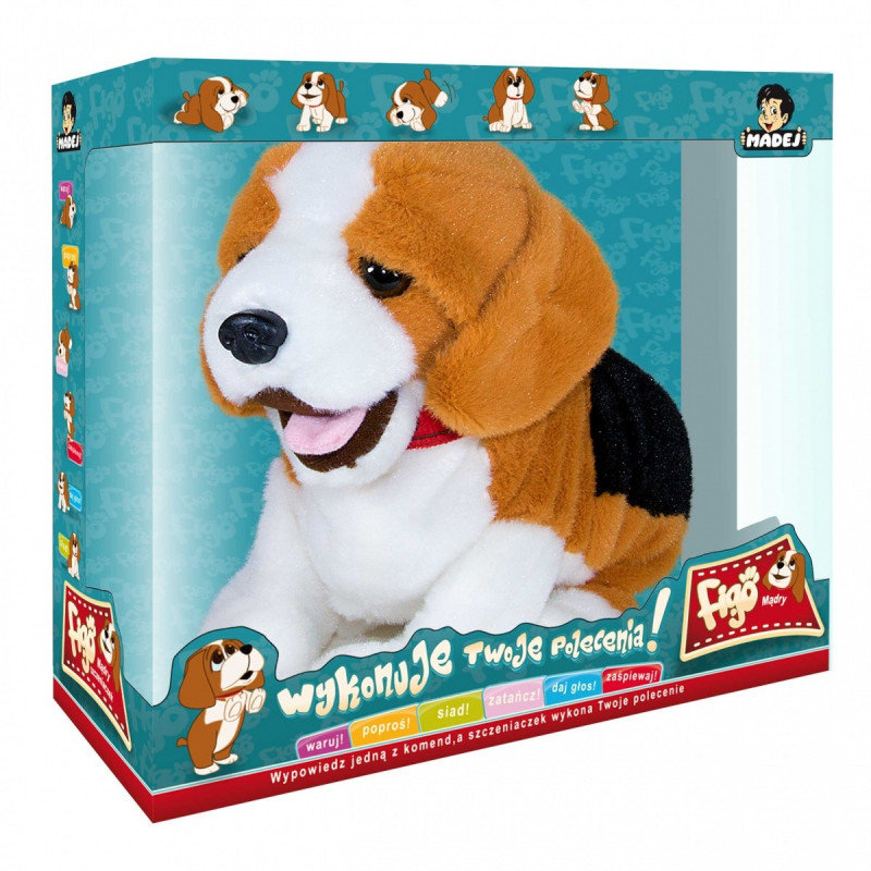 Madej FIGO BEAGLE MĄDRY SZCZENIACZEK WYKONUJE POLECENIA NOWOŚĆ CZ21655