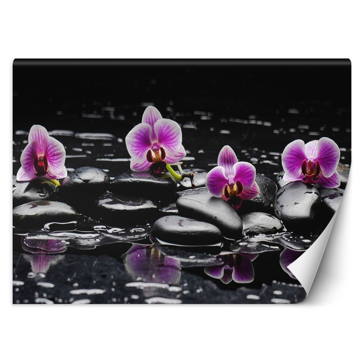 Fototapeta, Kamienie zen i orchidea (Rozmiar 450x315)