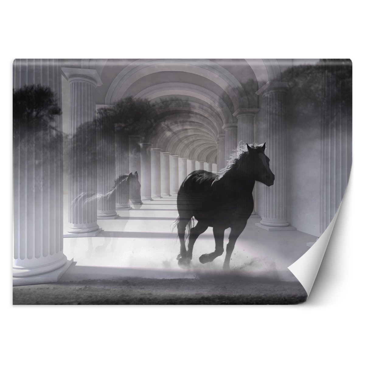 Fototapeta, Biegnący koń, efekt 3D (Rozmiar 350x245)