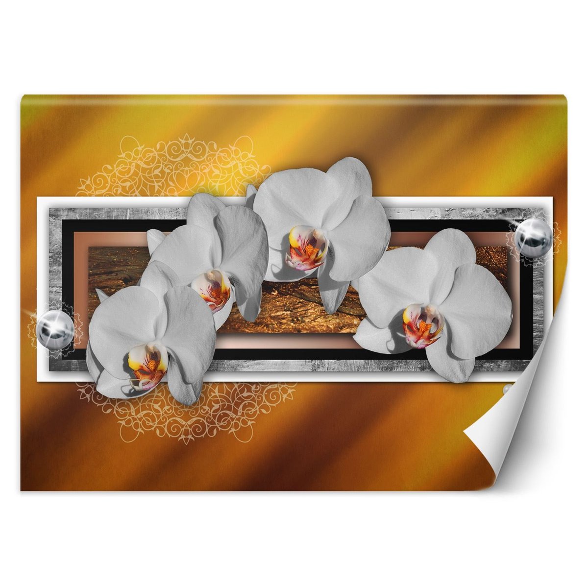 Fototapeta, Geometria i orchidee (Rozmiar 150x105)