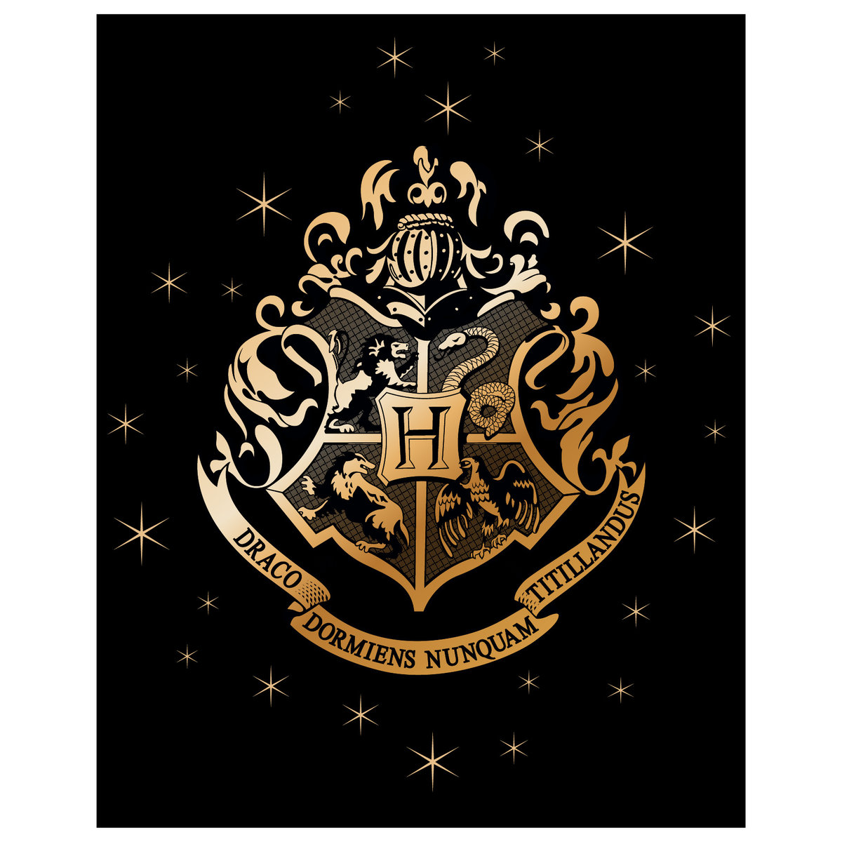 Duży KOC POLAR 220gsm 120x150 Harry Potter