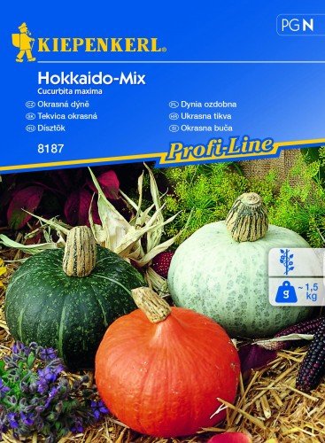 Dynia Ozdobna Hokkaido Mischung – Kiepenkerl