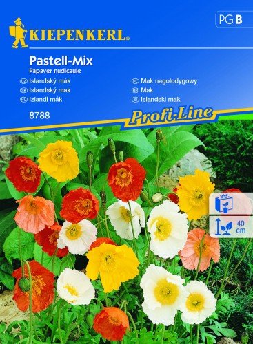 Mak Nagołodygowy Pastell-Mix – Kiepenkerl