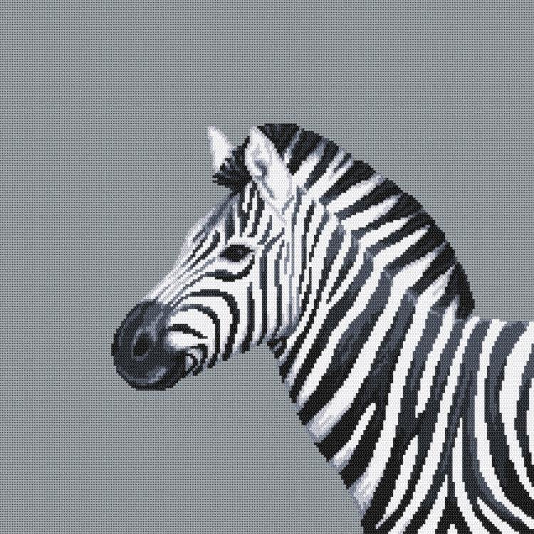 Zestaw Do Haftu - Czarno-Biała Zebra