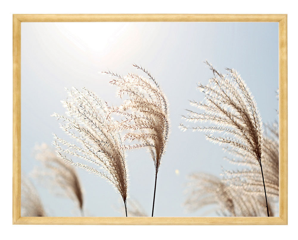 Nowoczesny plakat w drewnianej ramce 30x40 -  Grass
