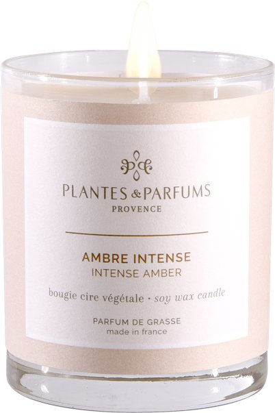 PLANTES&PARFUMS PROVENCE Świeca zapachowa perfumowana - Intense Amber - Drogocenna Ambra 070216
