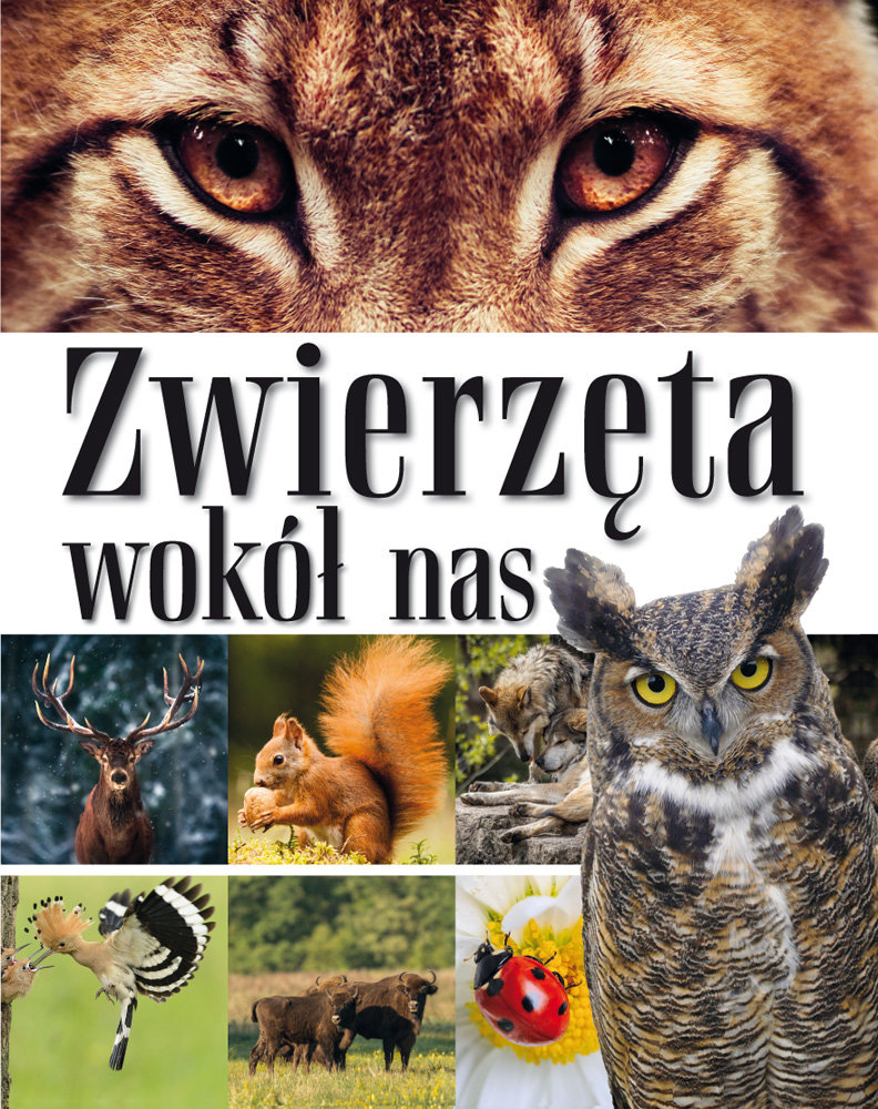 Omnibus Zwierzęta wokół nas. Encyklopedia dla dzieci - praca zbiorowa