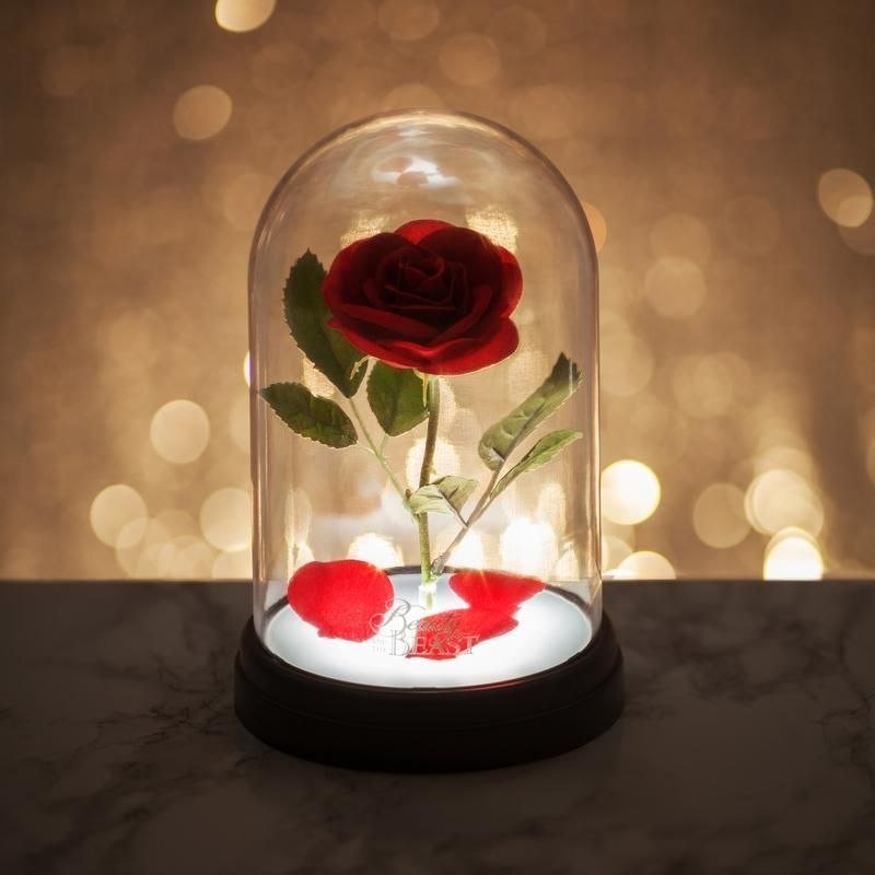 Disney Enchanted Rose Light: P. derive PP4344DP