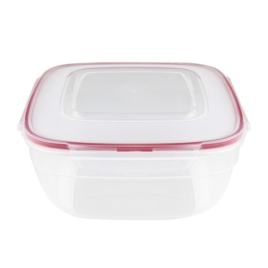 Fl1 Pojemnik na żywność 4l Fresh Box kwadratowy 40I-POJ-KW40