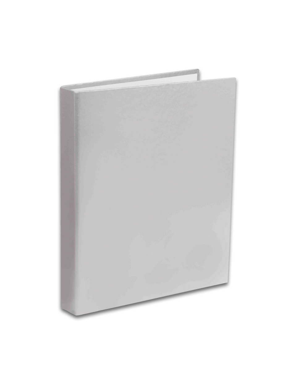 Penmate Segregator A5/2 srebrny