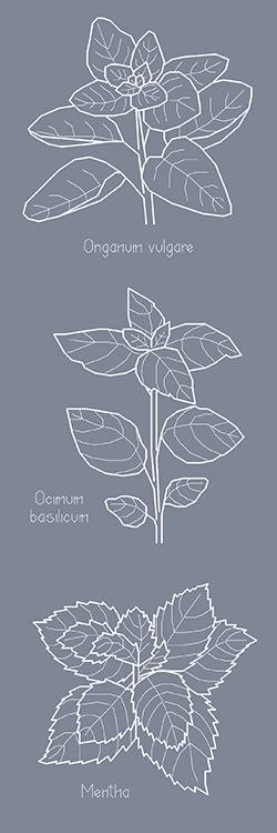 Haft krzyżykowy - Zestaw do haftu - Zioła