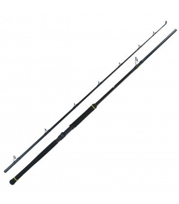 Wędki Black Cat Black Passion Bank -600g 2,70 m