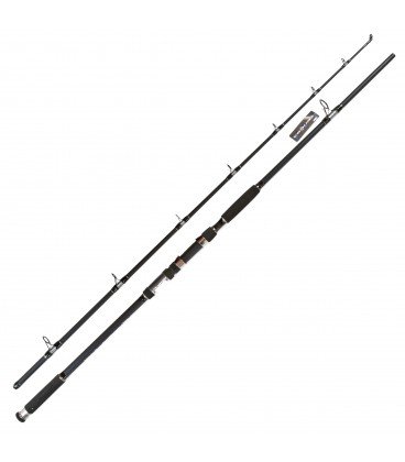 Wędki Jaxon Tenesa Catfish -550g 2,70 m