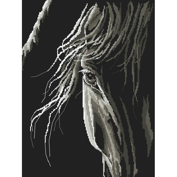 Haft krzyżykowy, Zestaw do haftu, Spojrzenie konia