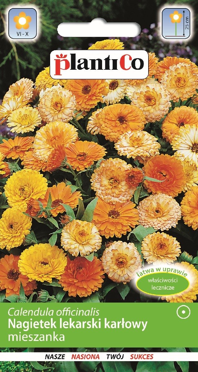 Nagietek Lekarski Karłowy Mieszanka 2g PlantiCo