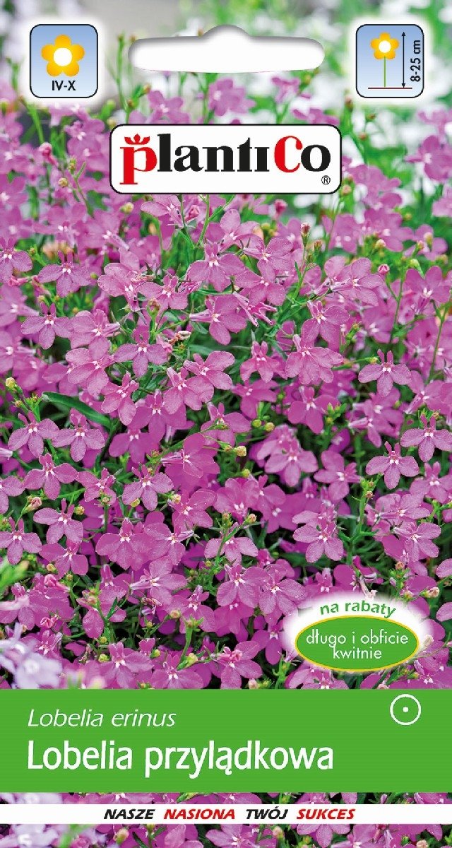 Lobelia Przylądkowa Różowa 0,2g PlantiCo