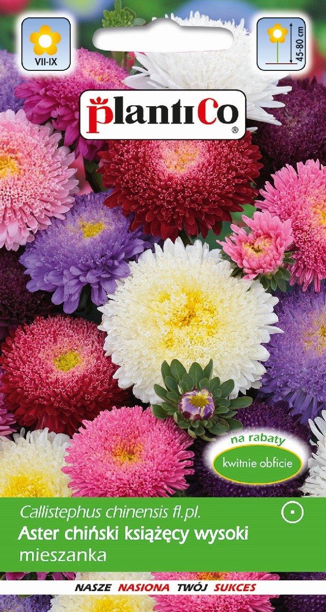 Plantico Aster chiński książęcy mix