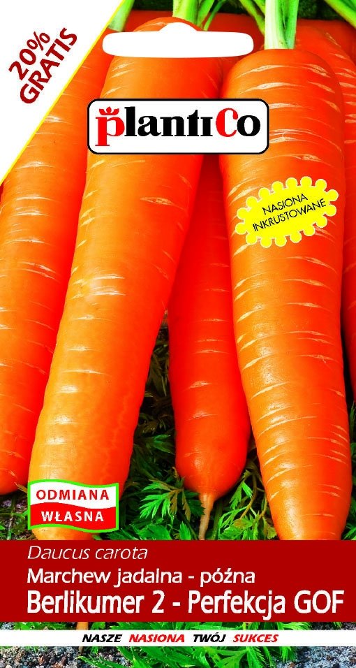 Plantico Marchew jadalna Berlikumer 2