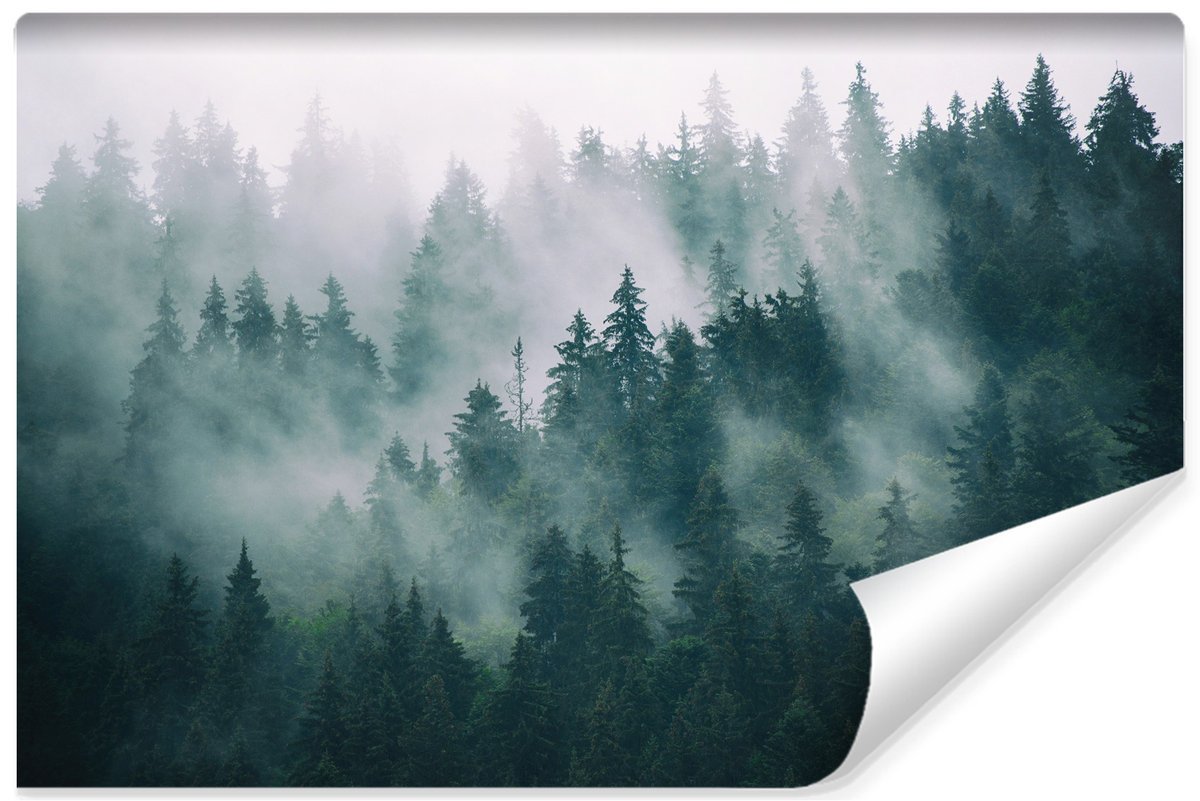 Fototapeta do Salonu Las we Mgle PEJZAŻ 3D 400cm x 280cm