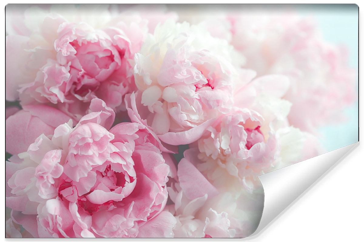 Fototapeta Kwitnące Peonie KWIATY Efekt 3D 270cm x 180cm