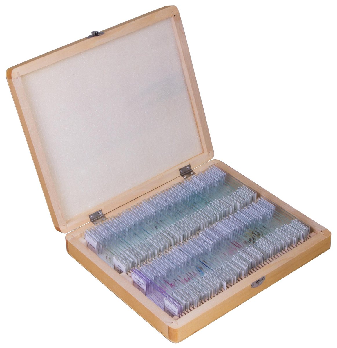 Zestaw preparatów Bresser w etui (anatomia, zoologia, botanika), 100 szt.