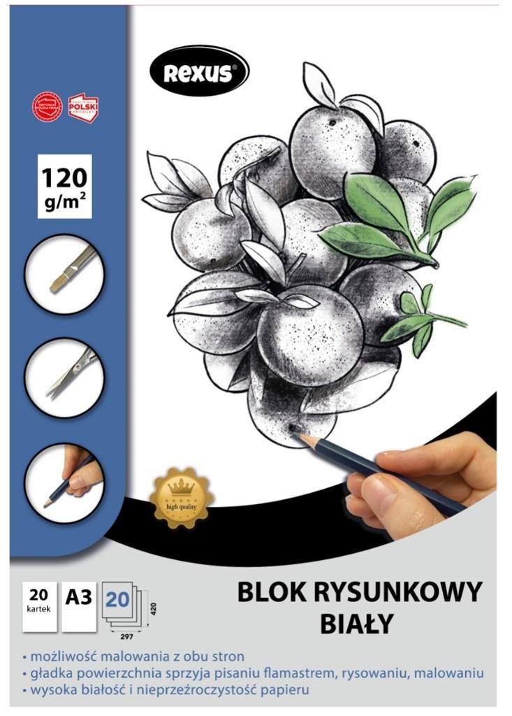 BENIAMIN Blok rysunkowy A3/20K biały Premium - Beniamin