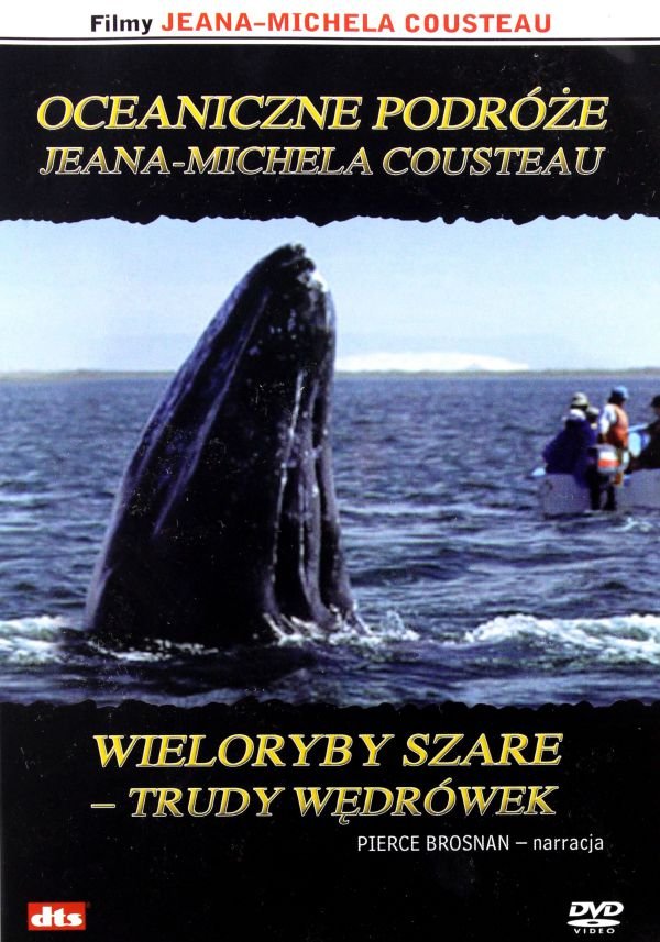 Imax - Oceaniczne podróże: Wieloryby szare: trudy wędrówek