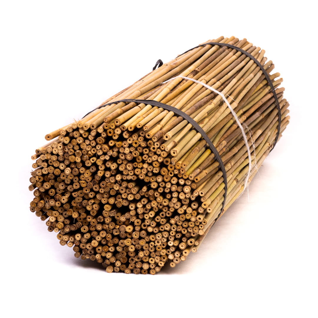 Tyczki bambusowe - 75cm - 8/10mm - 100 sztuk